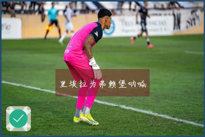 里埃拉为弗赖堡呐喊