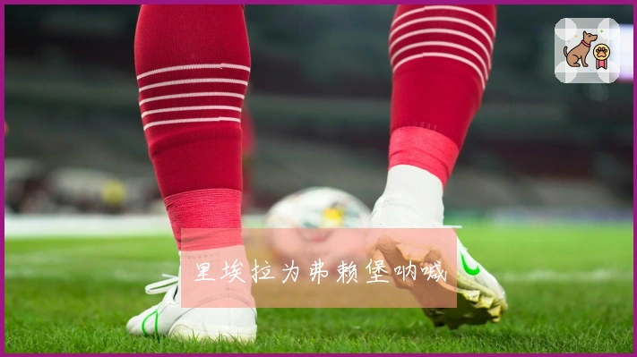 里埃拉为弗赖堡呐喊