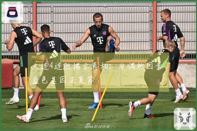 大连4连胜揭示真相：非偶然因素，蓝色基因正复苏